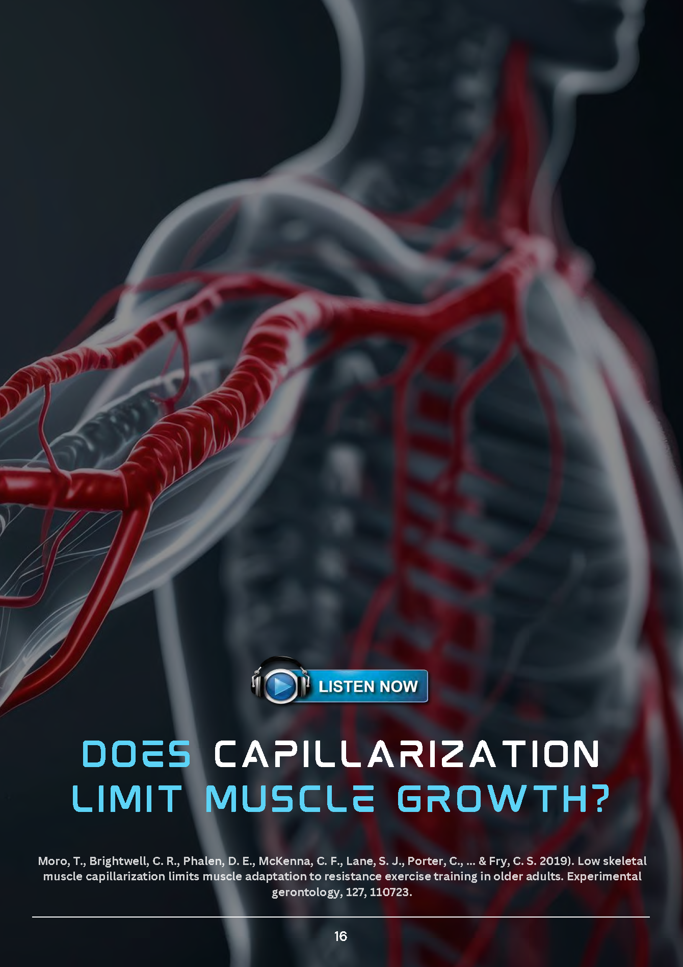 Does Capillarization Limit Muscle Growth